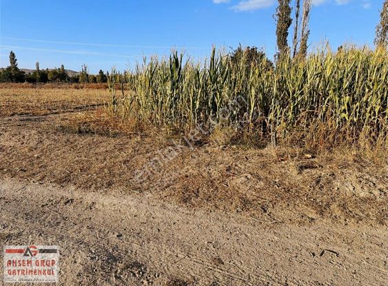 Afyon Sülümenli Merkezine Çok Yakın 3.654 M2 Satılık Bahçe