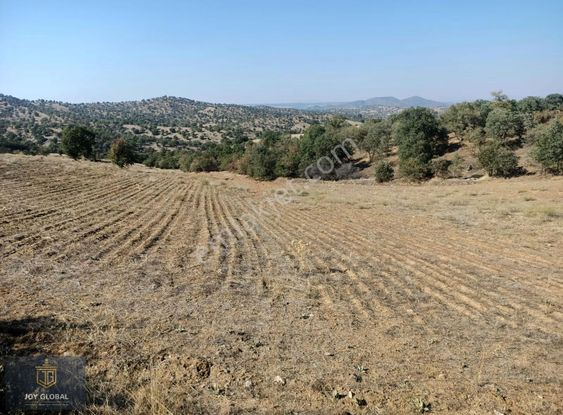 Asfalt Cephe 16 Donum Tek Tapu Ciftlik İcin Uygun