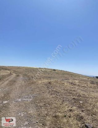 Balıkesir Kepsut Armutluda Satılık 4.5 Dönüm Tarla