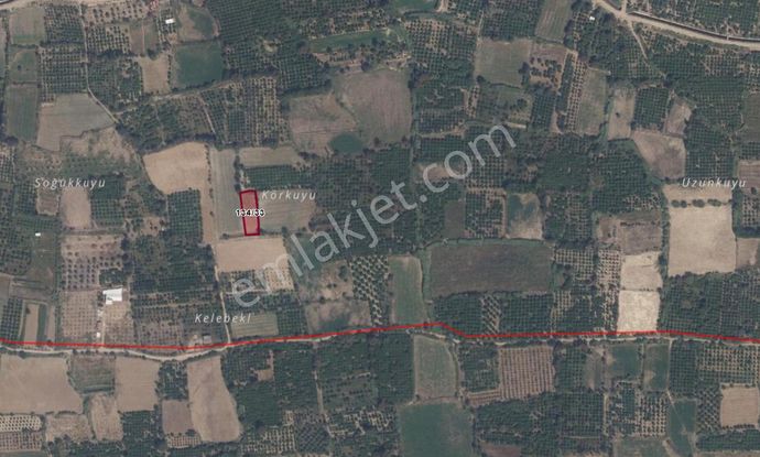 Aydın/kuyucak/beşeylül (sinekler Köyü)de Satılık Tarla