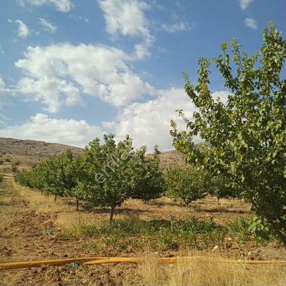 Bulut Emlaktan Satılık Tarla