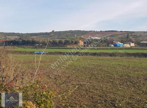 Karacabey Canbaz'da Köyiçi İmarlı Satılık Arsalar