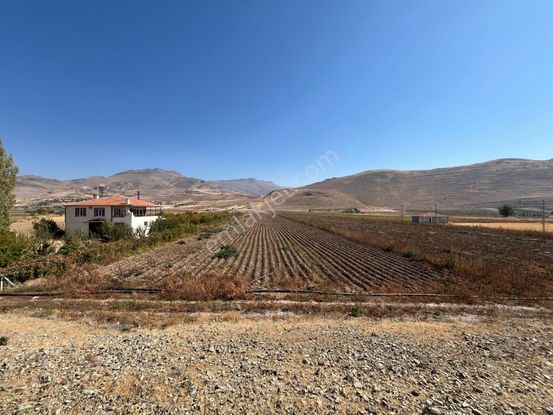 Öz Gaye Emlaktan Develi Tombak Anayol Üzeri Satılık Tarla