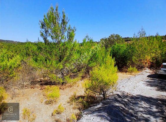 C21 Loca'dan Savaştepe Yukarıdanişmentte 5160,88m2 Satılık Tarla