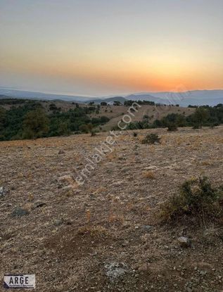 Kaz Dağları'nda Kelepir Tar