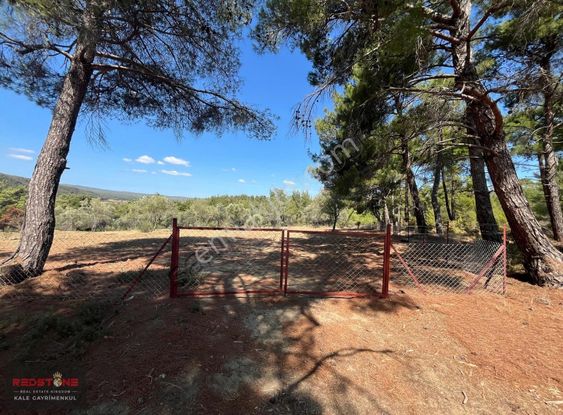 Yalova Köyün'de İçerisinde 110 Adet Zeytini Olan 6727 M² Tarla