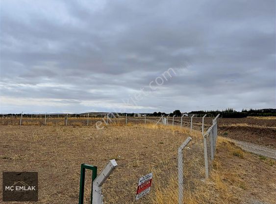 Mç Emlak'tan Yassıören Mh 2.296 M2 Tarla