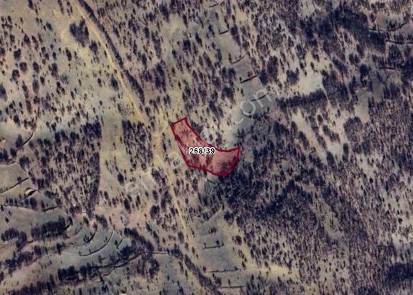 emlakjet-image-not-found