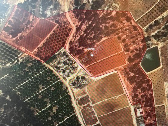 emlakjet-image-not-found