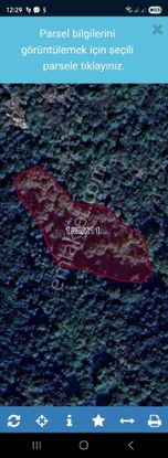 Aradıgın Yeri Buldun Açıklamayı Oku Denize 300 M Deniz Orman