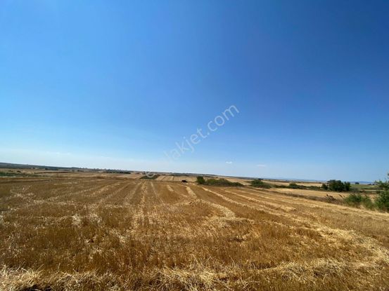 Tekirdağ Saray Kurtdere Mahallesinde 280m2 Sahibinden Hisseli Tarla