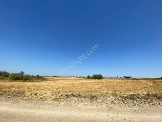 Tekirdağ Saray Kurtdere Mahallesinde 560 M2 Sahibinden Hisseli Tarla