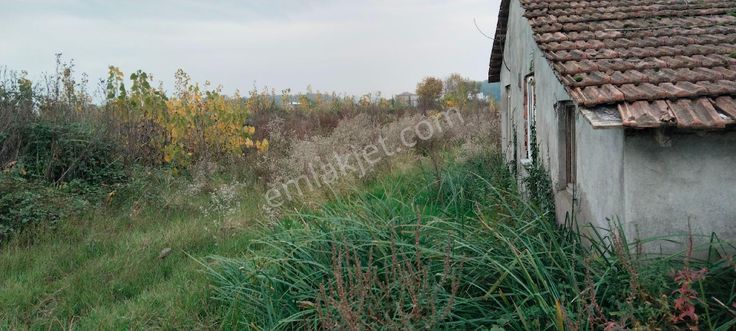 Sahibinden Çarşamba Costal Satılık Tarla