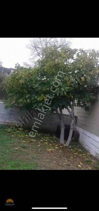 Kırklareli Pehlivanköy'de 400m2 İmarlı Arsa