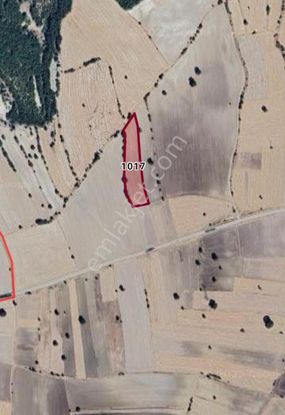 emlakjet-image-not-found