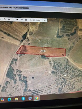 Gül Emlaktan Satılık Kocaavşada Yolu Var