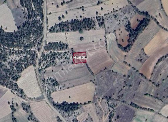 Kütahya Emet Uzunçam Köyünde 1.713 M² Tarla Satılıktır