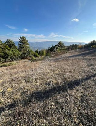 Hacı Yakup Paşalarda Doğa Harikası