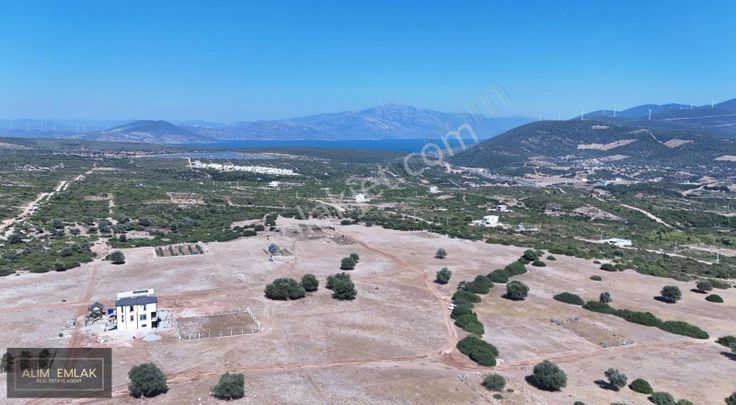 Bozsekinin En Güzel Arsası