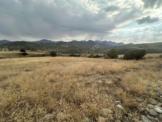 Harçikte Satılık Kupon Araziler