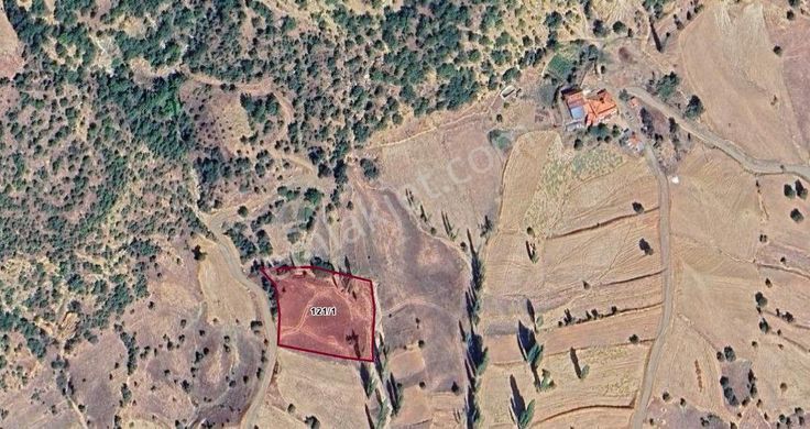 Kd 253.manisa Selendi Rahmanlarda 3.114 M² Tarlamız Satılıktır.