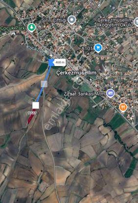 228fa-tekirdağ Hayrabolu Çerkezmüsellim 3.000m² Tarlamız Satılık