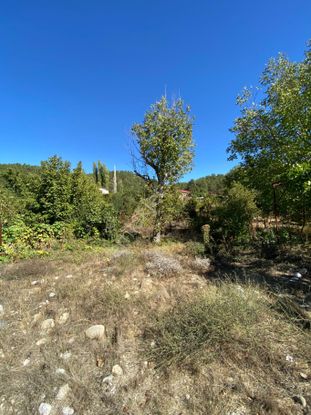 Sahibinden Suçatı Asfalt Yol Kenarı Arsa