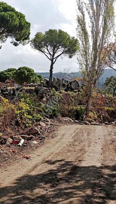 emlakjet-image-not-found