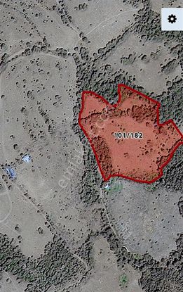 Acil Yatırımlık 17 Dönüm Tek Tapu Tarla