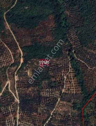 Bursa Orhangazi Çakırlı Mah. 428m² Tarla Satılıktır