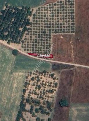 Bursa İnegöl Şehitler Mah.152m² Tarla Satılıktır