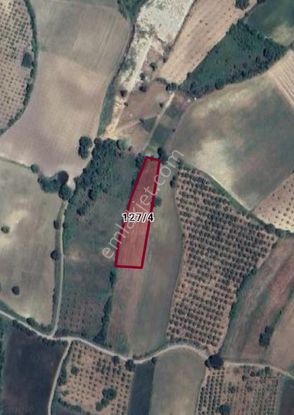 Bursa İnegöl Deydinler Mah. 2.900m² Tarla Satılıktır