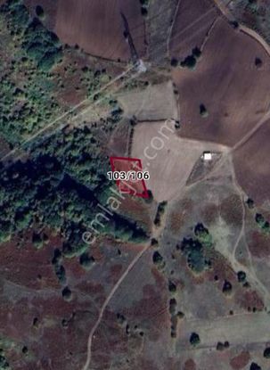 Bursa Orhangazi Mahmudiye Mah 1369m² Tarla Satılıktır