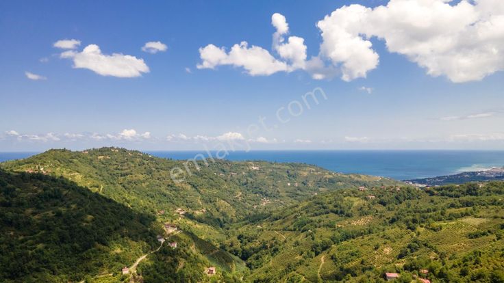 Ordu'da Plaja 7 Km Yemyeşil İmarlı Uygun Fiyatlı Son ''biarsa''