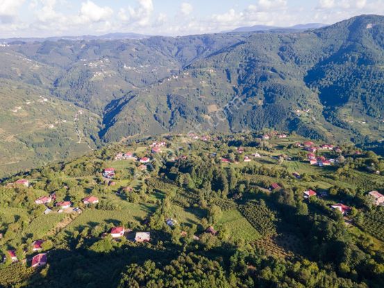 Ordu'da Yemyeşil 587 M² Köy İçi İmarlı Uygun Fiyatlı Son Arsa