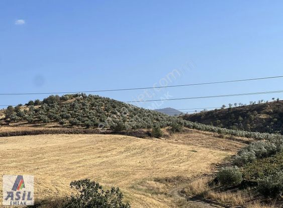 Satılık( Sanayi İmarına Yakın)zeytinlik Ve Bağ