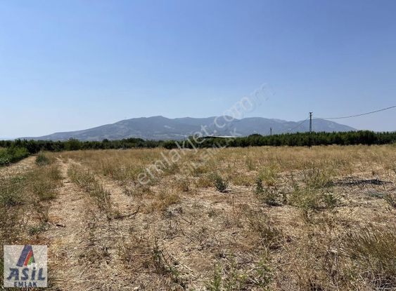 Satılık Tarla-depo Ve Tarım Yapmaya Müsait