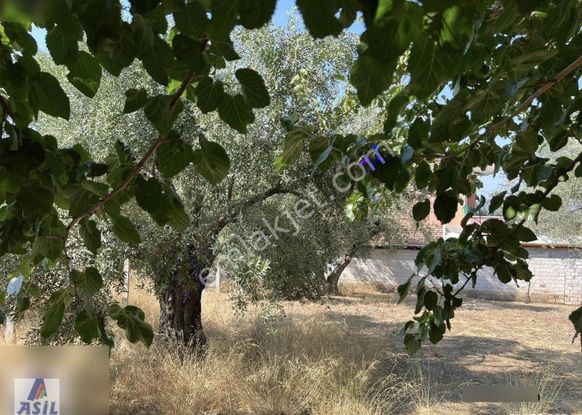 Derbent Mahallesi'nde Satılık 277m2 Arsa