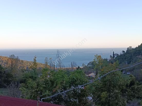 Sahibinden Deniz Ve Doğa Manzaralı