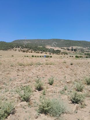 Yenişehir Marmaracık Köyünde Yatırım İçin İdeal