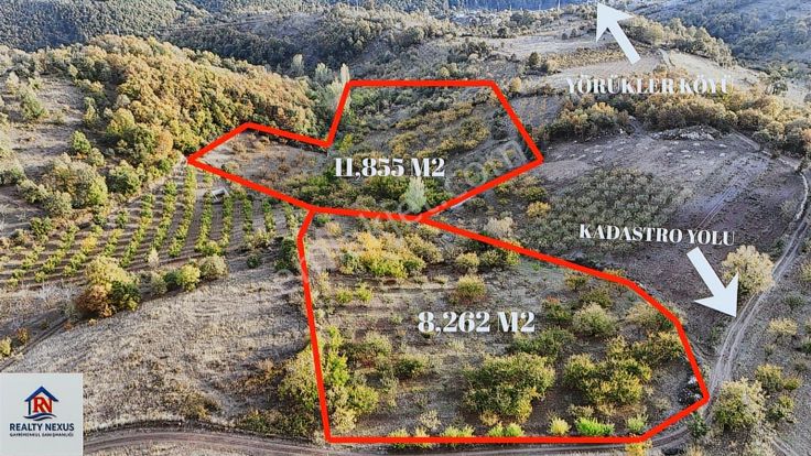 Realty Nexus'dan İznik Yörükler' De 20,117 M2 Meyve Bahçesi