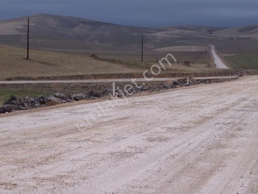Keloğlan Mevkisinde 8.304m2 Müstakil Tek Tapulu Tarla