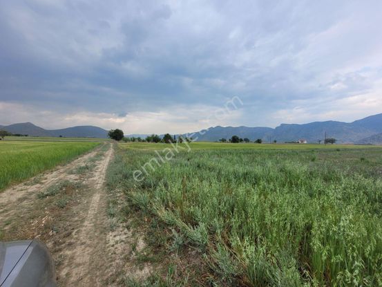 Korkuteli Yakaköy'de Acilsatılık 4600m2 Tarla Elektrik Su İçinde