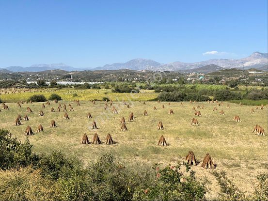 Dolbazlarda Satılık 4.5 Dönüm Düz Arazi