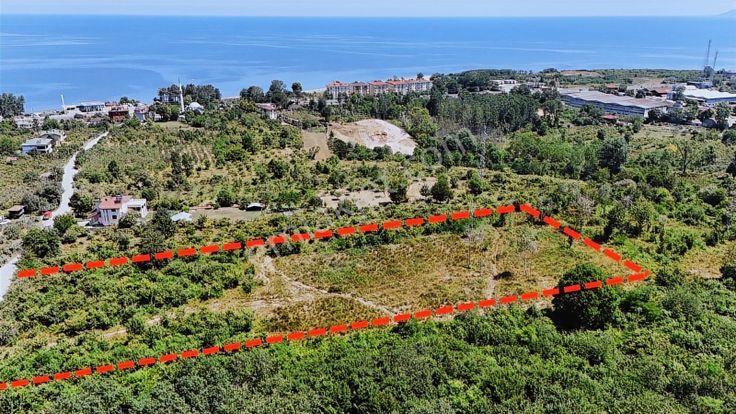 Yg'den Fatsa Dolunay Sınırında 9449 M2 10kat İmar Emsal 2