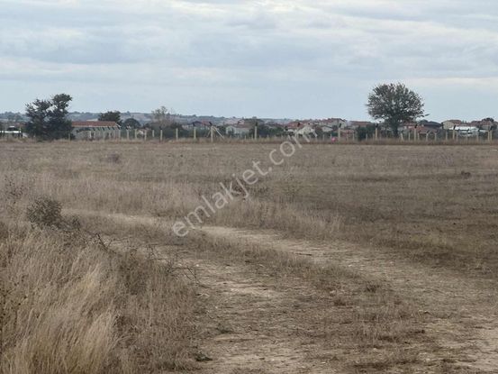 Osmanlı Emlk'tan Küçük Yonca'da Kupon Tek Tarla