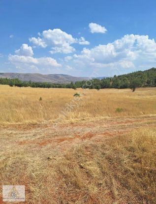 Yerleşime Yürüme Mesafesinde Uygun Arazi Fırsatı....