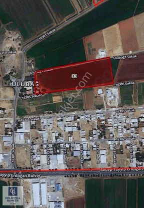 Cb'dan Ulubağda Yatırımlık Fırsat Tarla