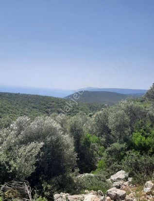 San Gayrimenkulden Satılık Tarla