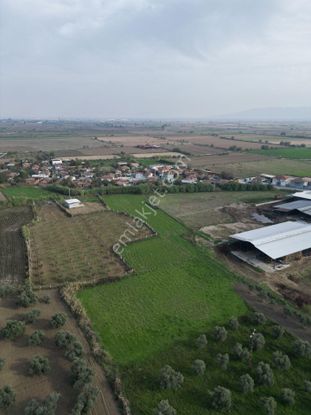 Kevser Alak’tan Germencik Karaağaçlı’da Satılık Arsalar